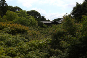 東福寺 国宝三門の楼上から京都一望！臥雲橋からの通天橋のアオモミジ17