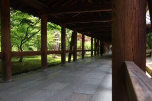 東福寺 国宝三門の楼上から京都一望！臥雲橋からの通天橋のアオモミジ18