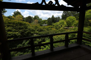 東福寺 国宝三門の楼上から京都一望！臥雲橋からの通天橋のアオモミジ27