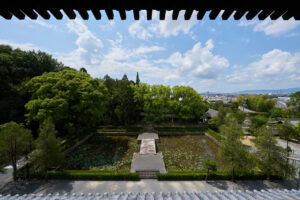 東福寺 国宝三門の楼上から京都一望！臥雲橋からの通天橋のアオモミジ9