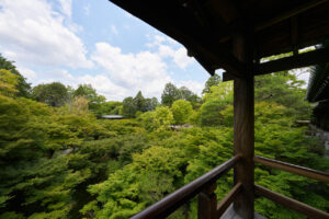 東福寺 国宝三門の楼上から京都一望！臥雲橋からの通天橋のアオモミジ15