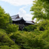 東福寺 国宝三門の楼上から京都一望！臥雲橋からの通天橋のアオモミジ