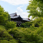 東福寺 国宝三門の楼上から京都一望！臥雲橋からの通天橋のアオモミジ