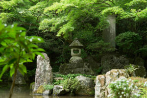 1歩踏み込んだ瞬間に体感温度も下がる別世界 京都・比叡山の麓の蓮華寺「拝観」9