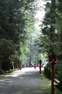 夏の箱根を1泊2日で自由に巡る！“あじさい電車”や海賊船が鳥居の中に！な光景も目撃44