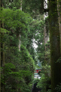 夏の箱根を1泊2日で自由に巡る！“あじさい電車”や海賊船が鳥居の中に！な光景も目撃45