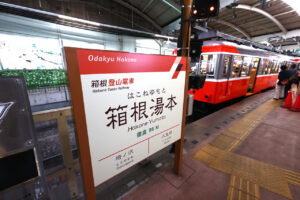 夏の箱根を1泊2日で自由に巡る！“あじさい電車”や海賊船が鳥居の中に！な光景も目撃8