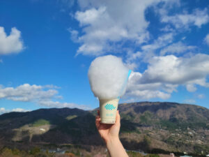 夏の箱根を1泊2日で自由に巡る！“あじさい電車”や海賊船が鳥居の中に！な光景も目撃52