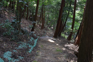 国宝・久能山東照宮 禁足地をスマートEXで3日間のみ入山可能！精神修養はどんなもの？28